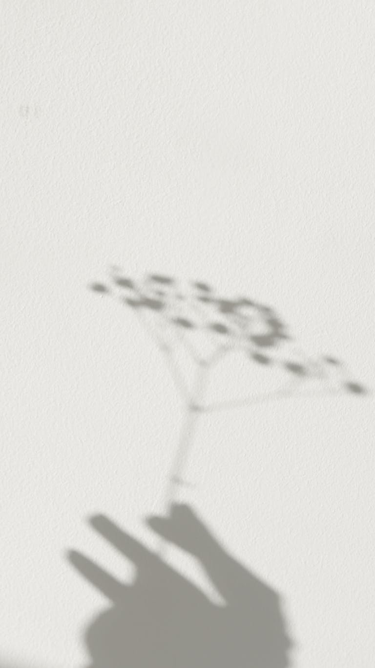 Artistic shadow of a hand holding a plant on a light wall background.