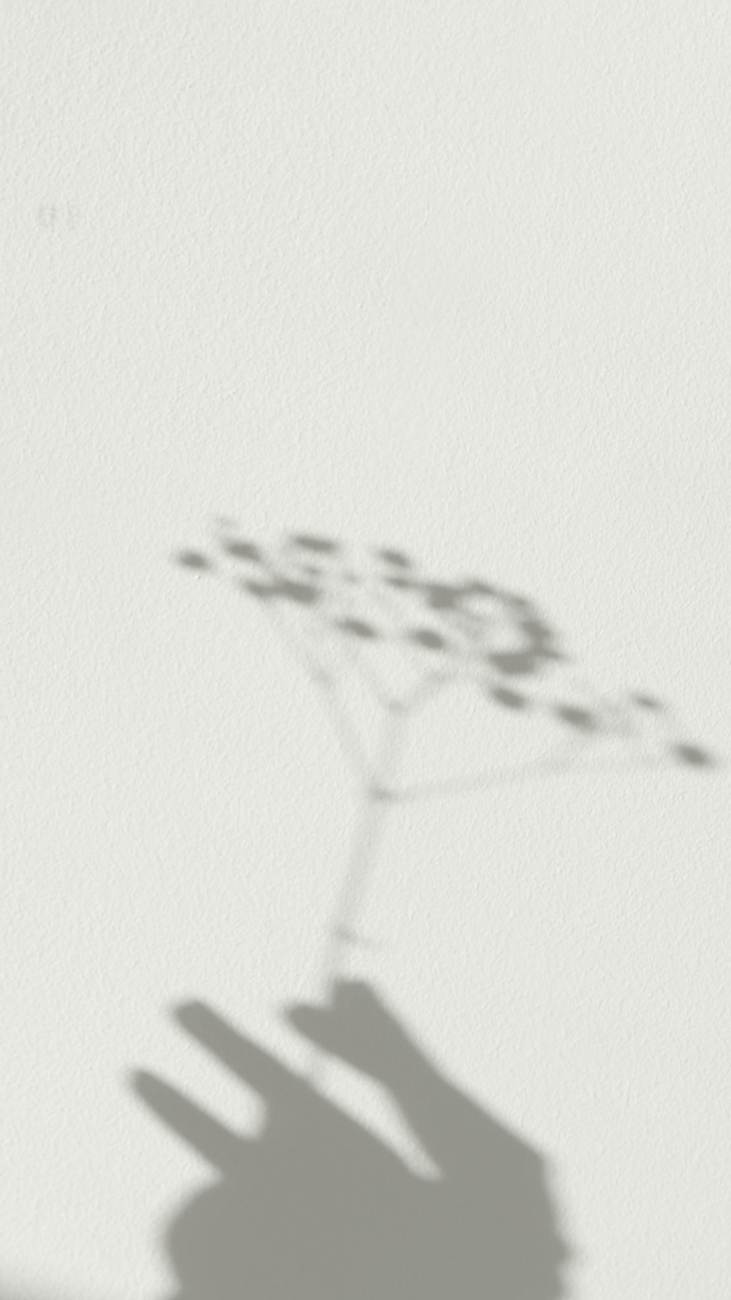 Artistic shadow of a hand holding a plant on a light wall background.